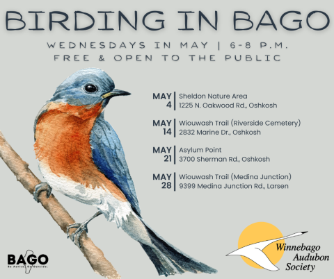 Birding in BAGO Birding in BAGO