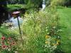 established shoreline habitat restoration