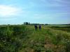 visiting a wetland restoration project