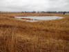 bermed wetland with tile spillway