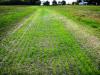 grassed waterway with netting