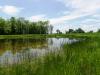 established wetland