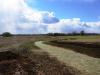 grassed waterway with netted mulch