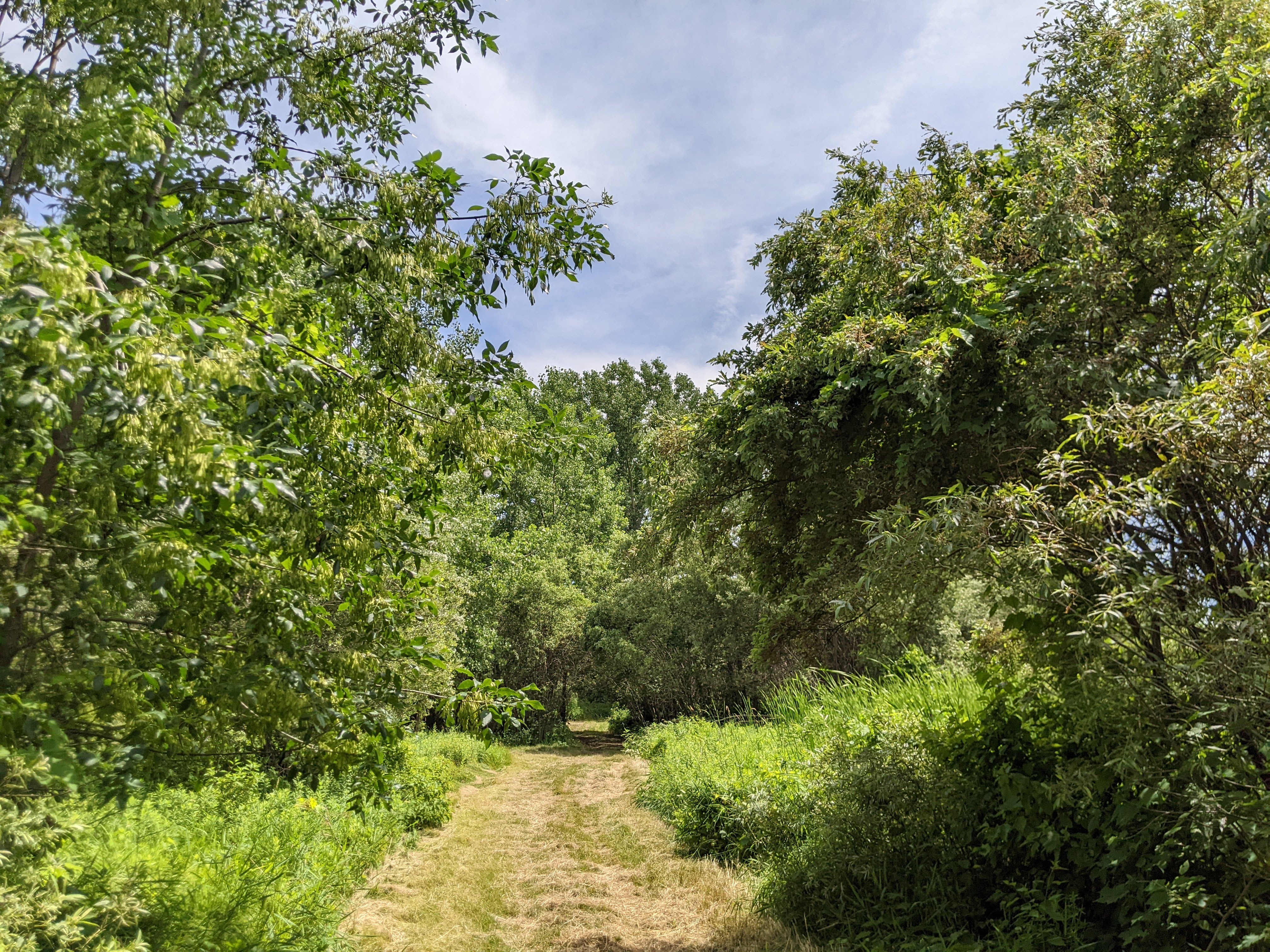 Coughlin Community Natural Area