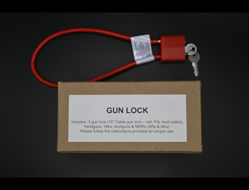 Gun Lock Kit