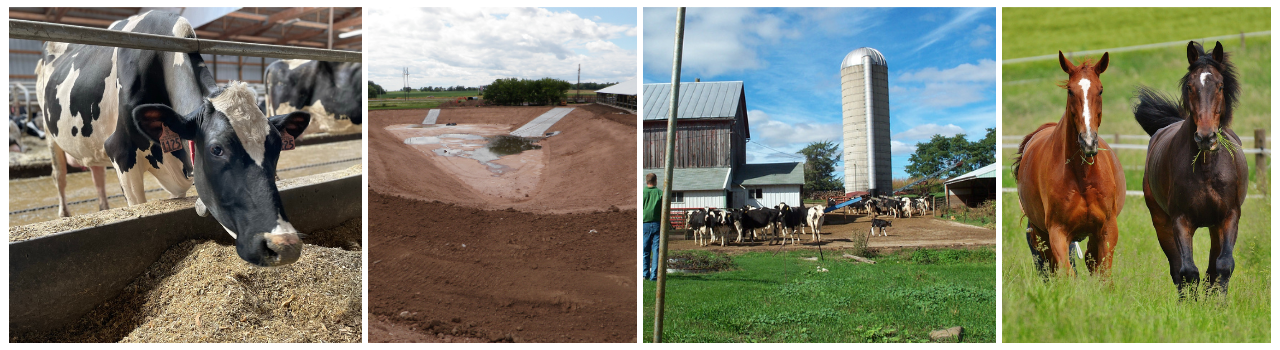 photos of local farms
