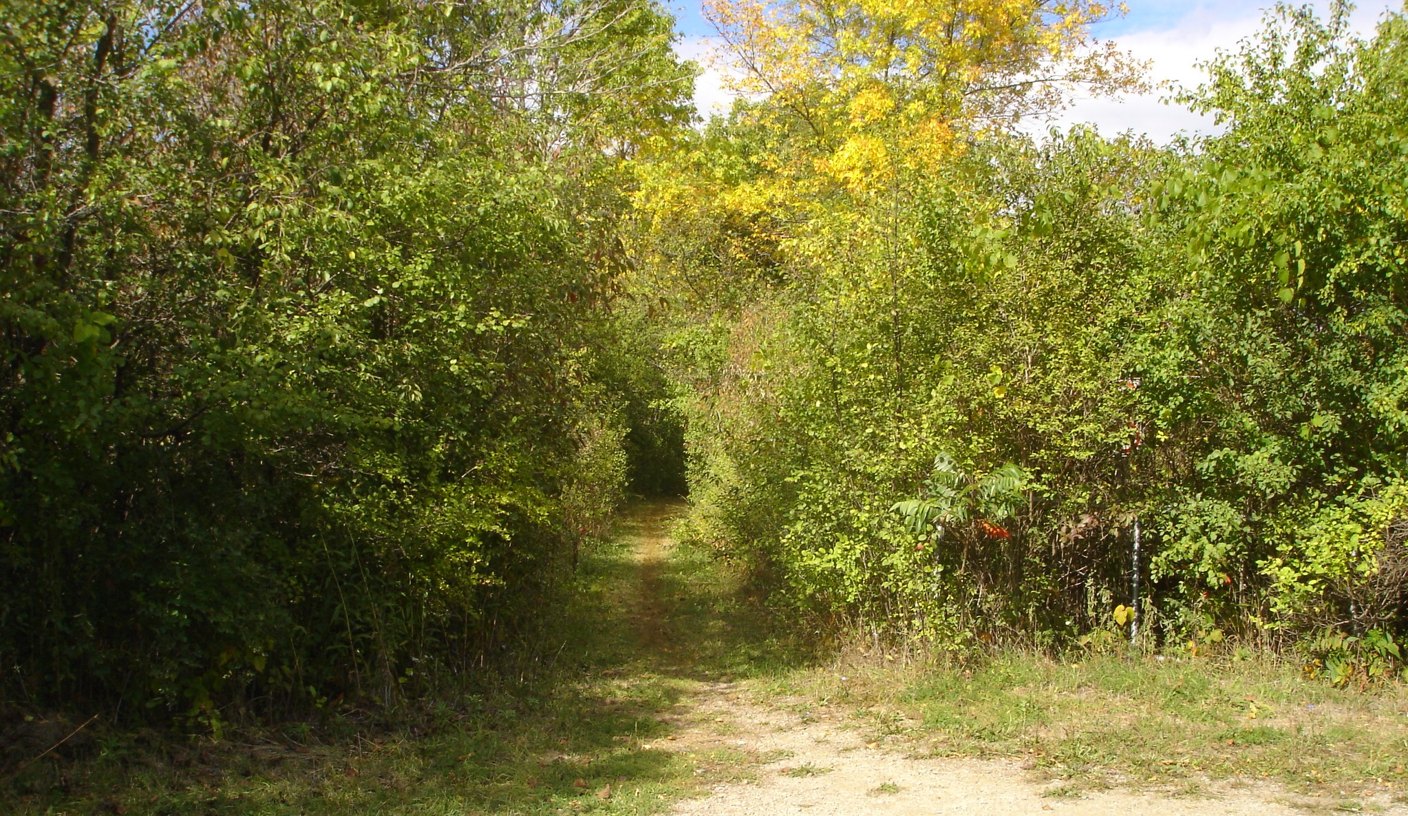 Lasley Point Archaeological Site