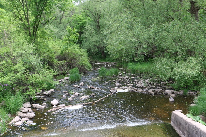 Waukau Creek Dam